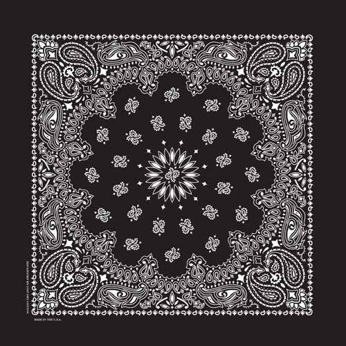 Bandanna Co Classic Paisley 22" X 22"