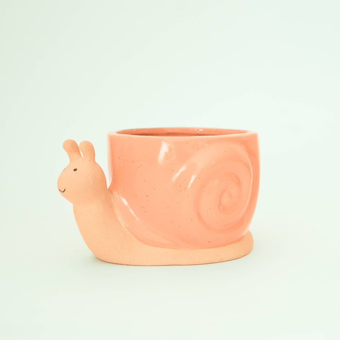 Snail Planter | Sunset