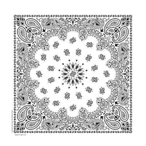 Bandanna Co Classic Paisley 22" X 22"