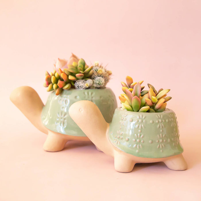 Turtle Planter | Lagoon