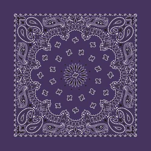 Bandanna Co Classic Paisley 22" X 22"