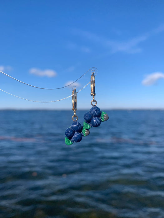 Unique Fruit Earrings Blueberry Earrings