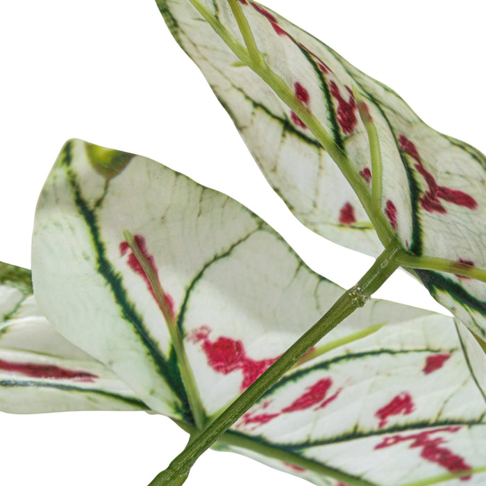 Faux Caladium Plant in Plastic Pot