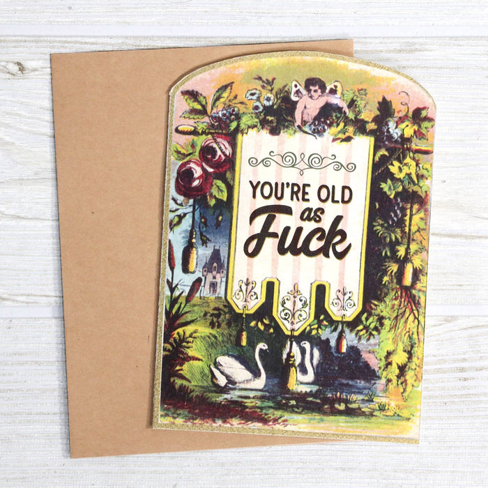 You’re Old as Fuck - Vintage Birthday Card