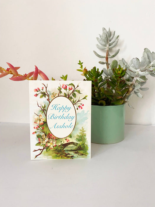 Happy Birthday Asshole Funny Greeting Card