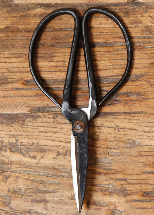 Forged Iron Garden Shears