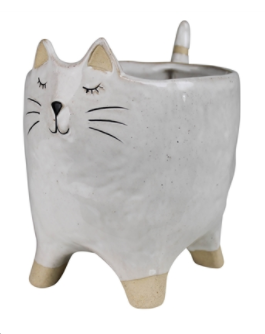 Ceramic Pet Cachepot